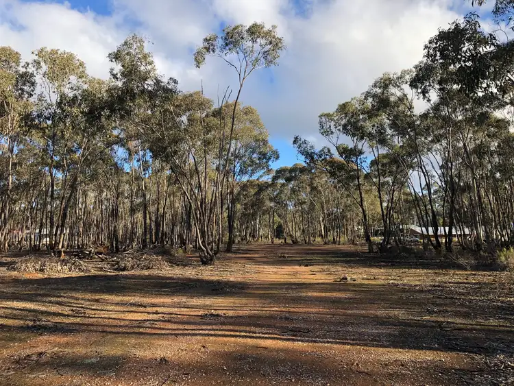 Third view of Homely land listing, 59 Palmer Road, Simson VIC 3465
