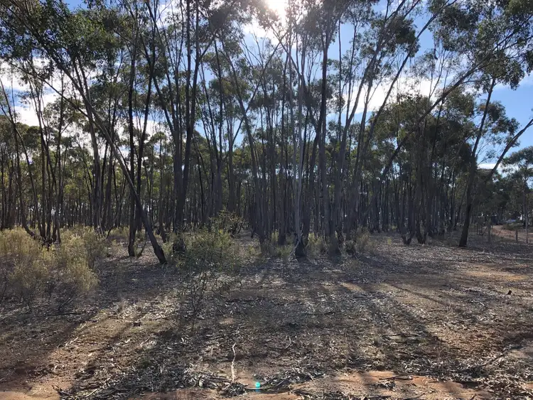 Seventh view of Homely land listing, 59 Palmer Road, Simson VIC 3465