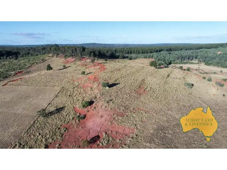 Third view of Homely rural property listing, 292 Back Creek Road, Stalworth Via, Proston QLD 4613