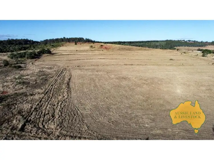 Fourth view of Homely rural property listing, 292 Back Creek Road, Stalworth Via, Proston QLD 4613