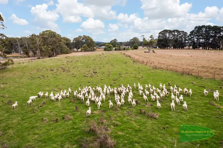 Fifth view of Homely rural property listing, 800 Riverview Forest Road, Mozart NSW 2787
