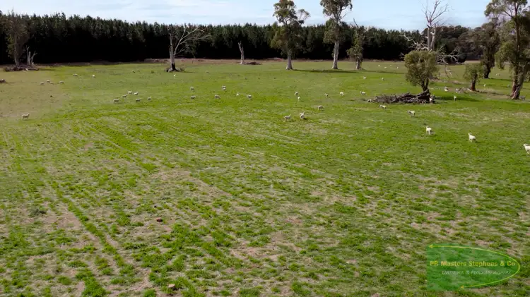 Sixth view of Homely rural property listing, 800 Riverview Forest Road, Mozart NSW 2787