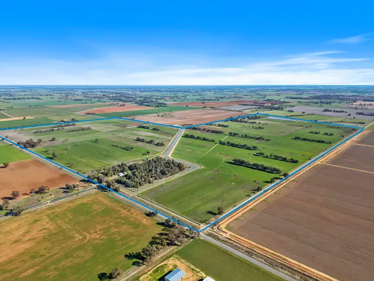Second view of Homely rural property listing, 415 Tyacks Road, Yalca VIC 3637
