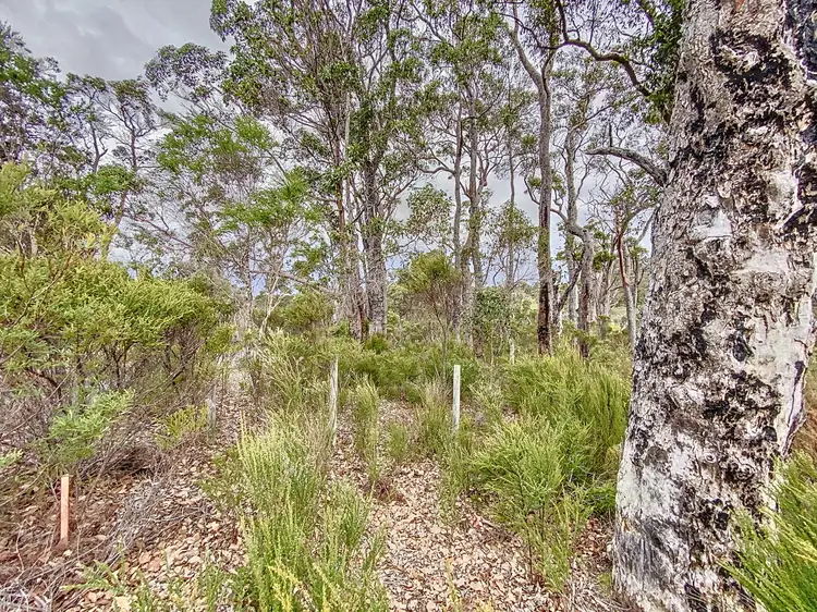 Third view of Homely land listing, 89 Karri Street, Walpole WA 6398
