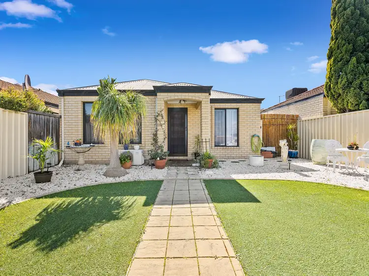 Main view of Homely house listing, 81 Vaucluse Crescent, Ellenbrook WA 6069