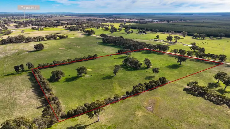 Main view of Homely land listing, Section 115 Chuck Road, Tarpeena SA 5277