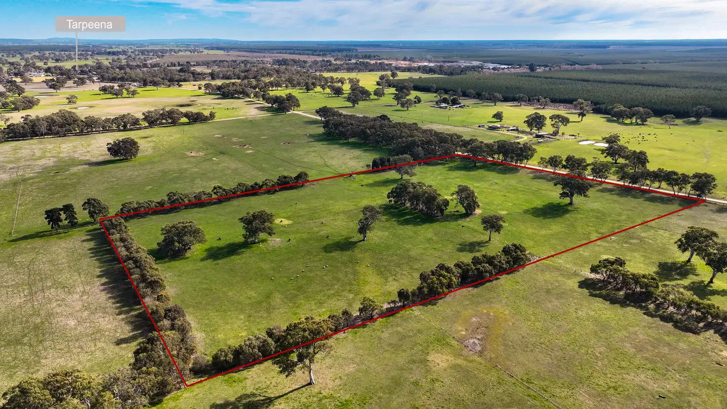 Main view of Homely land listing, Section 115 Chuck Road, Tarpeena SA 5277