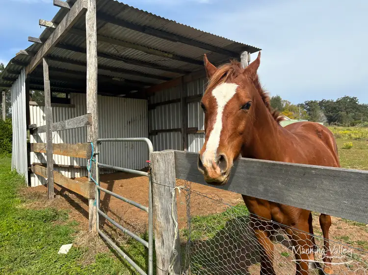 Fifth view of Homely rural property listing, 230 Jericho Road, Moorland NSW 2443