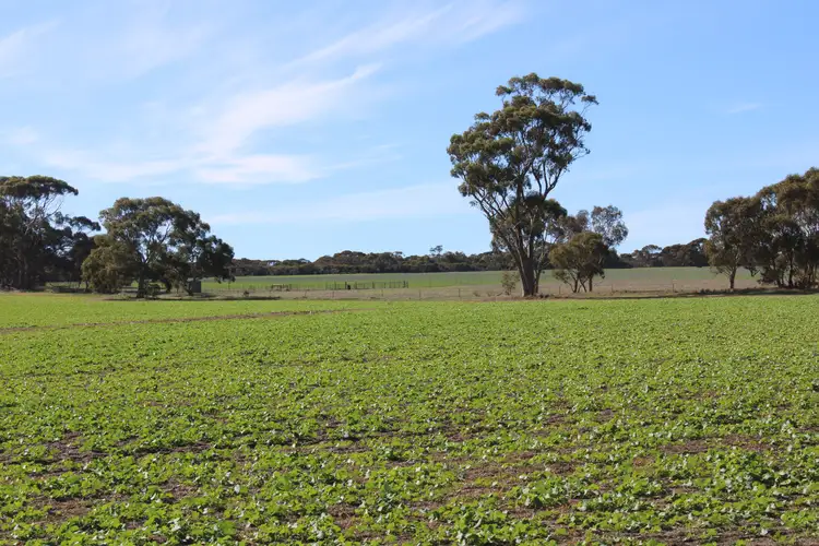 Third view of Homely rural property listing, Miram East Road, Nhill VIC 3418