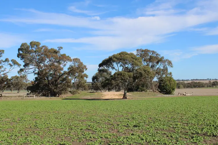 Fourth view of Homely rural property listing, Miram East Road, Nhill VIC 3418