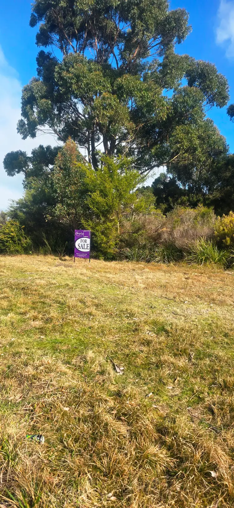 Fifth view of Homely land listing, 40 Grant Street, Smithton TAS 7330