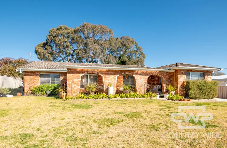 Main view of Homely house listing, 21 Cross Street, Glen Innes NSW 2370