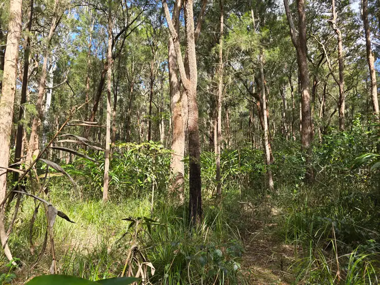 Fifth view of Homely land listing, 650 Deep Creek Road, Wongabel QLD 4883