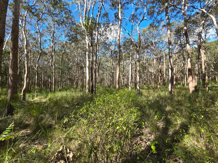 Sixth view of Homely land listing, 650 Deep Creek Road, Wongabel QLD 4883