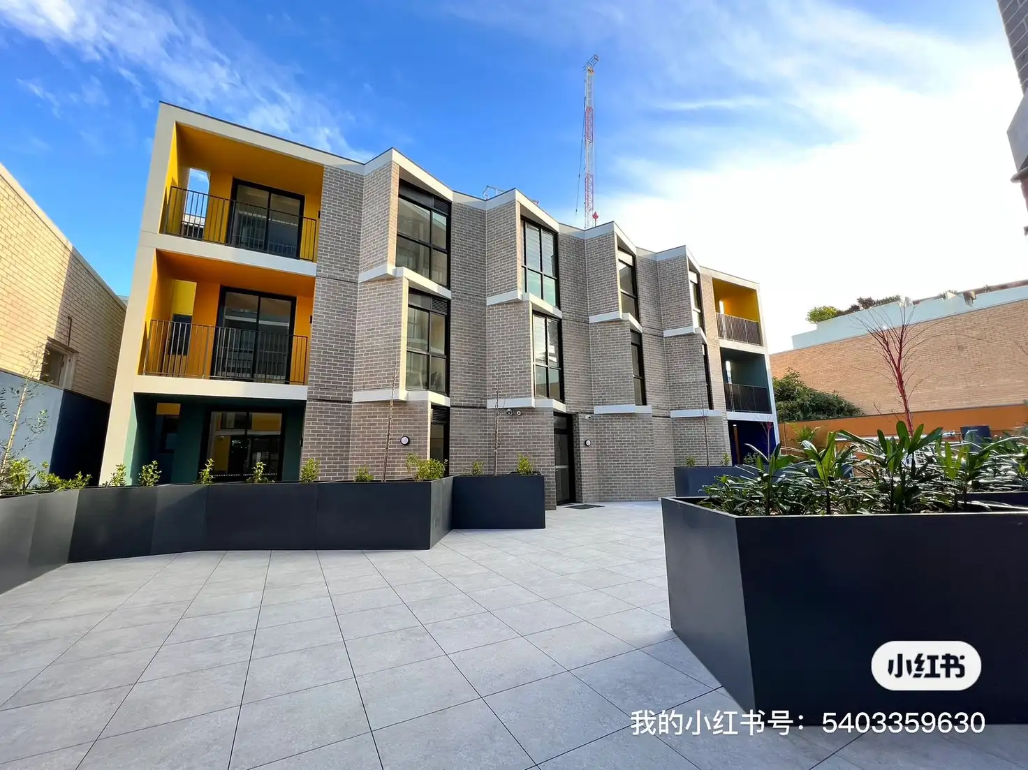 Main view of Homely studio listing, 219 Maroubra Rd, Maroubra NSW 2035
