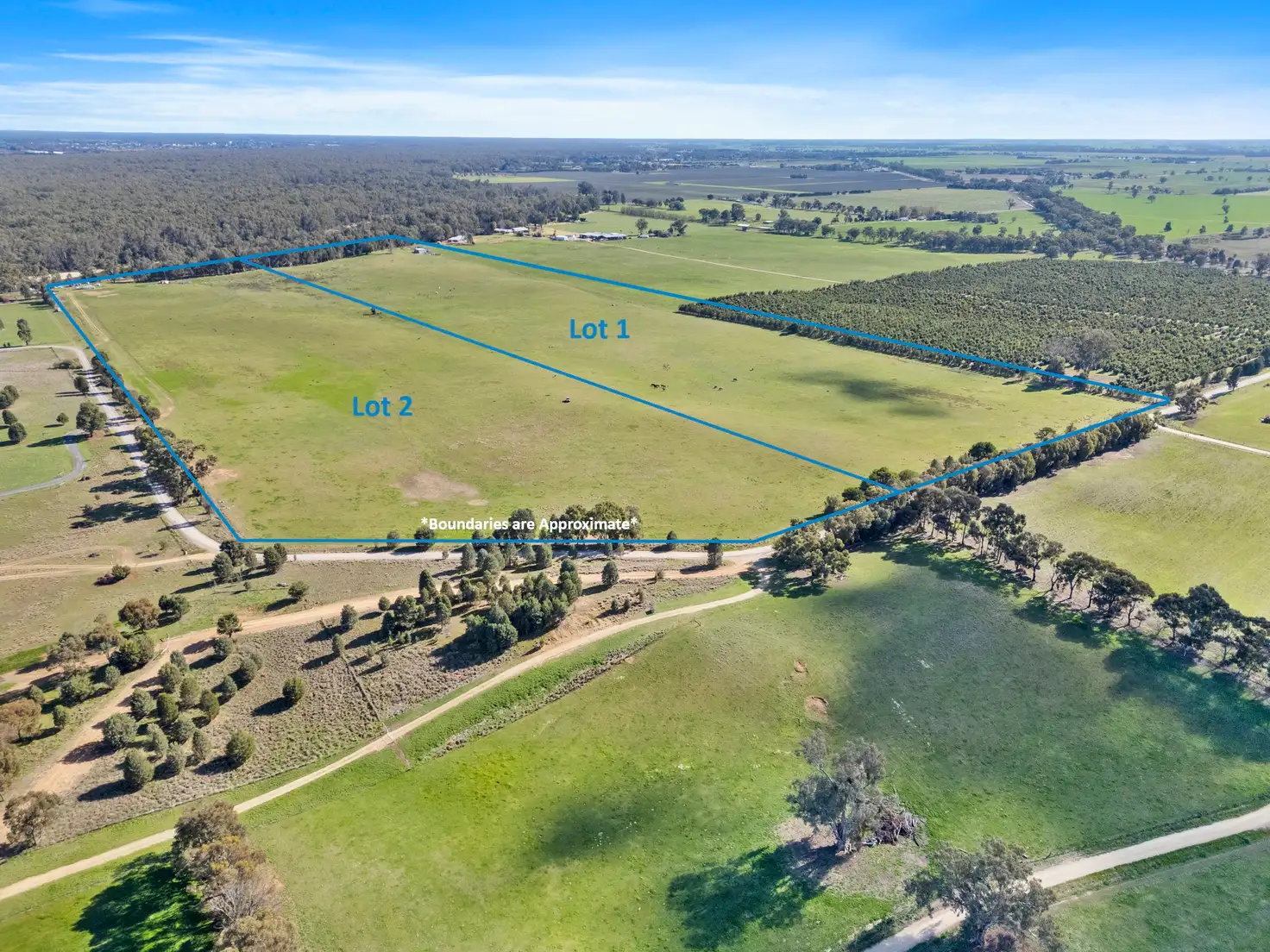 Main view of Homely rural property listing, LOT 1, 52 Ngawe Road, Barooga NSW 3644