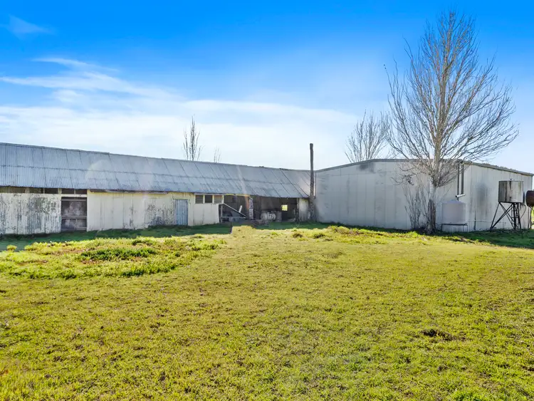 Fifth view of Homely rural property listing, LOT 1, 52 Ngawe Road, Barooga NSW 3644