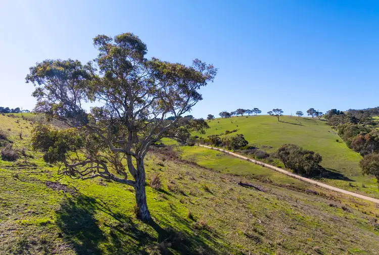 Second view of Homely land listing, Portion of 86 Taverner Road, Torrens Vale SA 5203