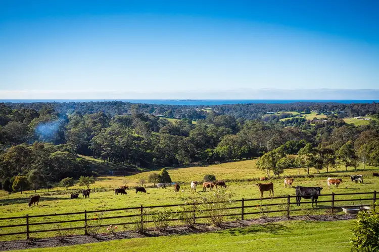 Fourth view of Homely rural property listing, 233 Wagonga Scenic Drive, Narooma NSW 2546