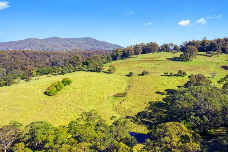 Fifth view of Homely rural property listing, 233 Wagonga Scenic Drive, Narooma NSW 2546