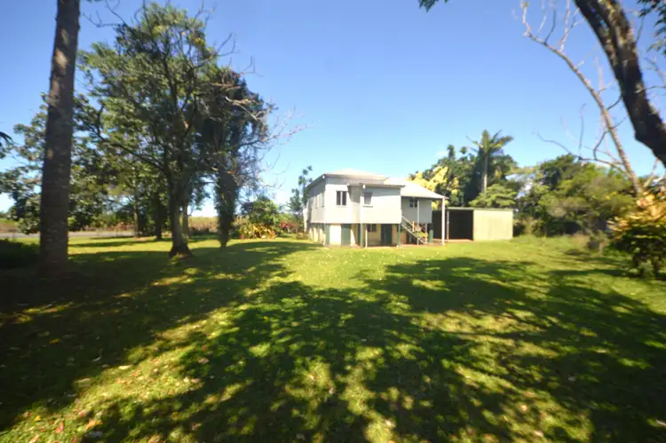 Fifth view of Homely house listing, 50 Meyer Avenue, Wangan QLD 4871