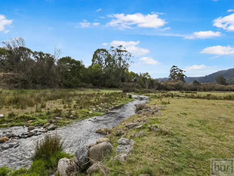 Third view of Homely rural property listing, 20 Goddes Road, Tallandoon VIC 3701
