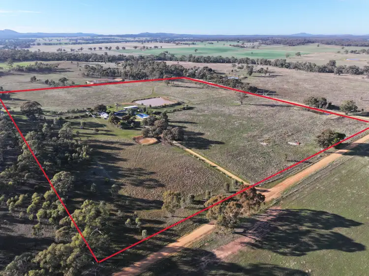 Main view of Homely rural property listing, 1278 Burkes Flat-Wedderburn Road, Fentons Creek VIC 3518