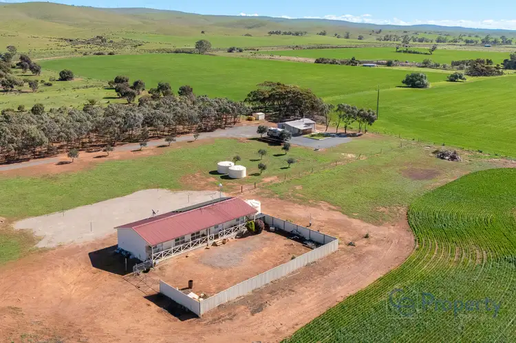 1502 Pine Hut Road, Sedan SA 5353