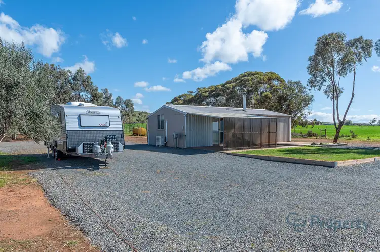 Third view of Homely rural property listing, 1502 Pine Hut Road, Sedan SA 5353