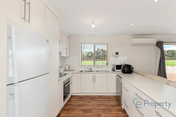 Sixth view of Homely rural property listing, 1502 Pine Hut Road, Sedan SA 5353
