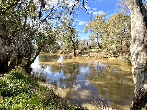 Third view of Homely rural property listing, 81 Lower Bathurst Street, Forbes NSW 2871