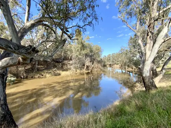 Fifth view of Homely rural property listing, 81 Lower Bathurst Street, Forbes NSW 2871