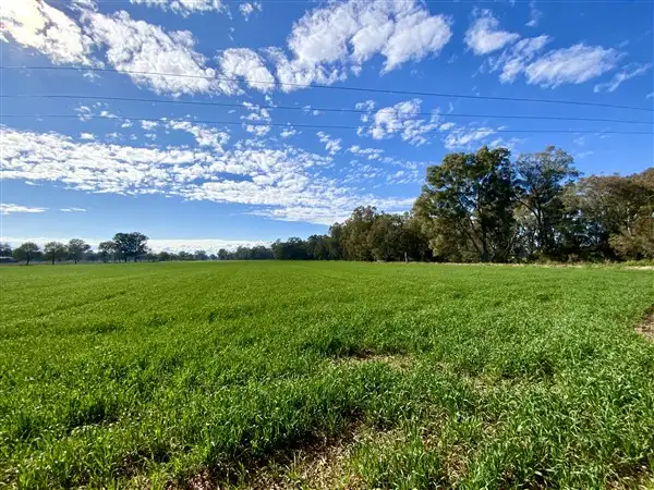 Sixth view of Homely rural property listing, 81 Lower Bathurst Street, Forbes NSW 2871