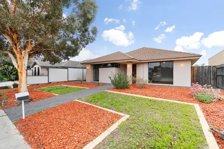 Main view of Homely house listing, 81 Lomas Circle, Ellenbrook WA 6069