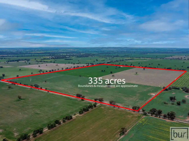 430 Drums Road, Rand NSW 2642