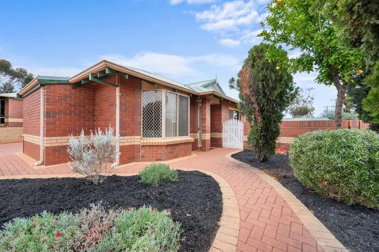 Main view of Homely unit listing, 1/47 Killarney Street, Lamington WA 6430