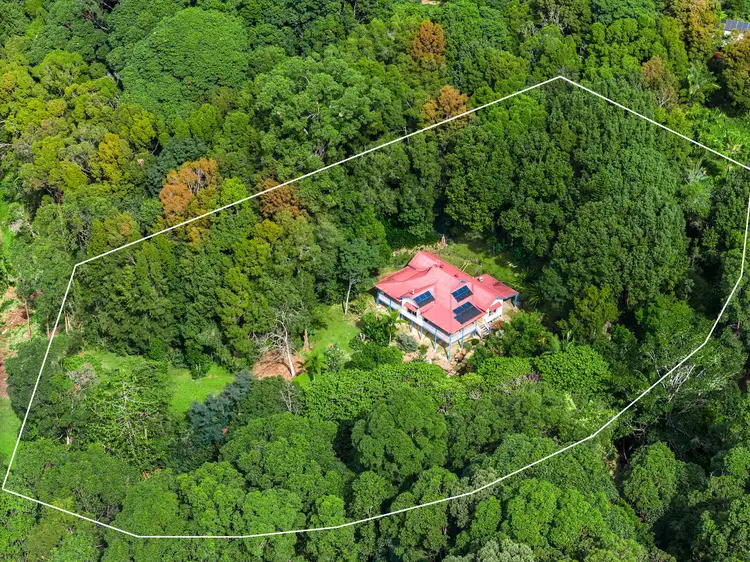 Sixth view of Homely rural property listing, 91 Brushbox Drive, Mullumbimby NSW 2482
