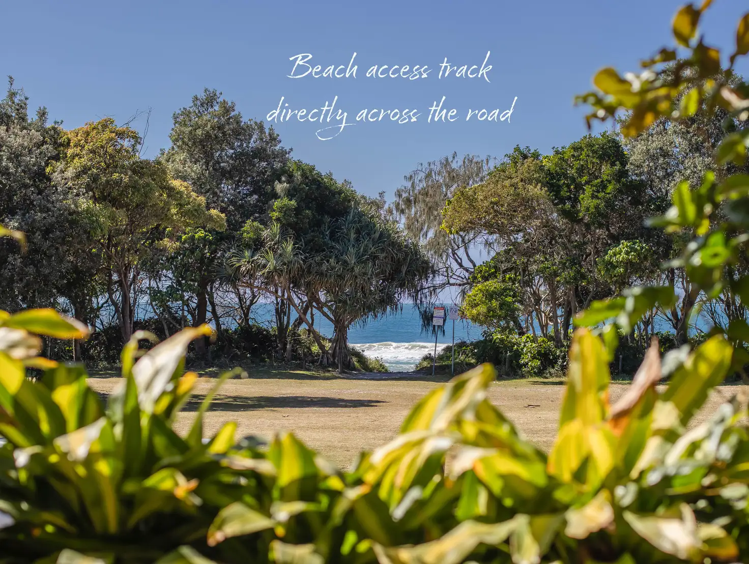 Main view of Homely block of units listing, 232 Marine Parade, Kingscliff NSW 2487