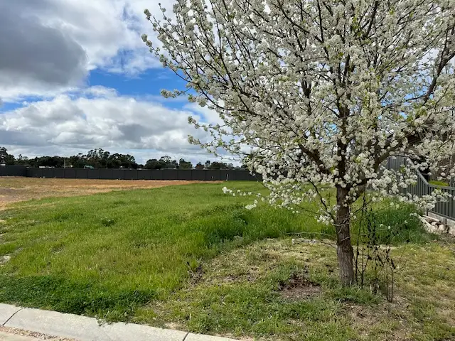 Fifth view of Homely land listing, 24 Armstrong Drive, Barham NSW 2732