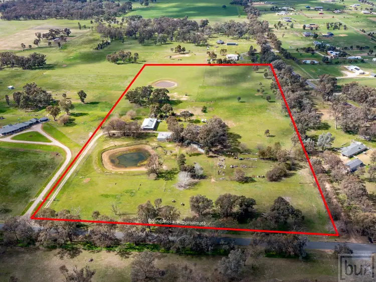 Second view of Homely rural property listing, 187 Bungowannah Road, Jindera NSW 2642