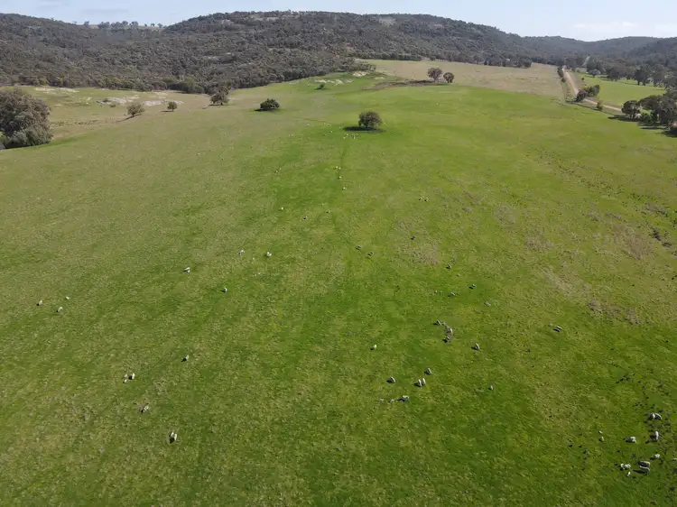 Second view of Homely rural property listing, "Glenroy" 165 Bald Hills Road, Grenfell NSW 2810