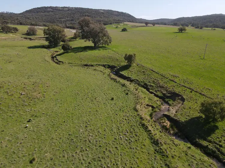 Third view of Homely rural property listing, "Glenroy" 165 Bald Hills Road, Grenfell NSW 2810