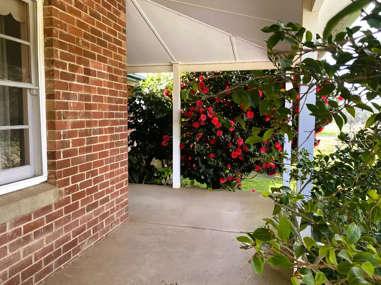 Fourth view of Homely rural property listing, "Glenroy" 165 Bald Hills Road, Grenfell NSW 2810