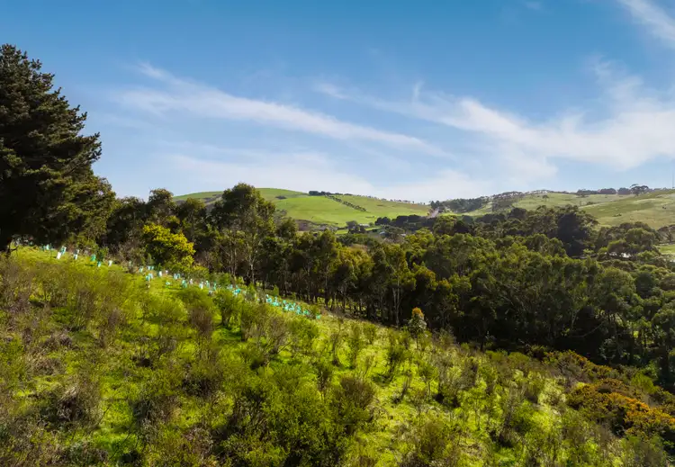 Third view of Homely land listing, S100 Bullaparinga Crescent, Delamere SA 5204