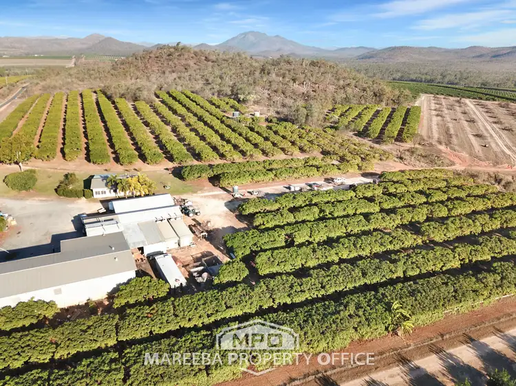 1151 Leafgold Weir Road, Dimbulah QLD 4872
