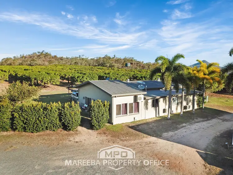 Third view of Homely rural property listing, 1151 Leafgold Weir Road, Dimbulah QLD 4872
