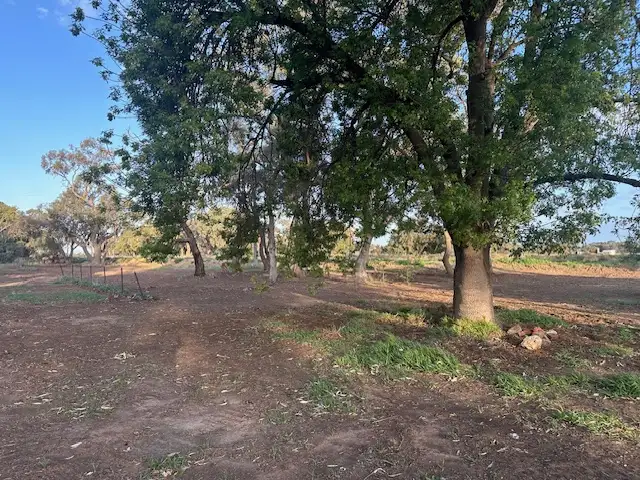 Fifth view of Homely house listing, 6071 WAKOOL ROAD, Wakool NSW 2710