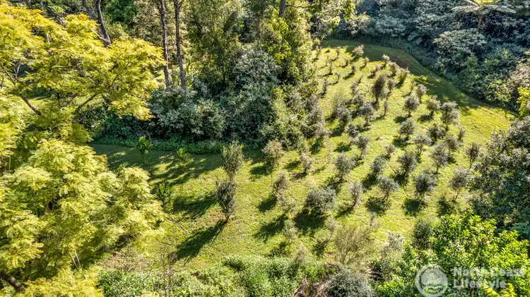 Third view of Homely rural property listing, 744 Upper Burringbar Road, Upper Burringbar NSW 2483