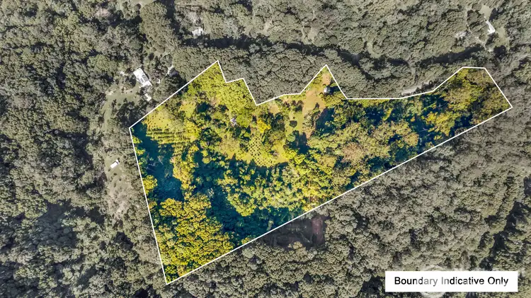 Fourth view of Homely rural property listing, 744 Upper Burringbar Road, Upper Burringbar NSW 2483