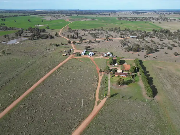 Third view of Homely rural property listing, 'Nyrang' 3013 Mid Western Highway, West Wyalong NSW 2671